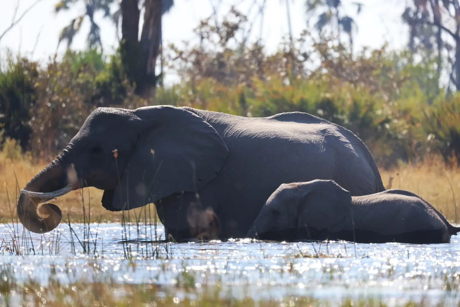 WhatsApp-Image-2025-10-13-at-19.02.18_7bbf6afa