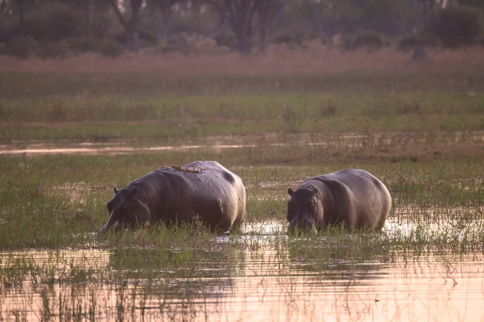 WhatsApp-Image-2025-10-13-at-20.39.14_e7a75698