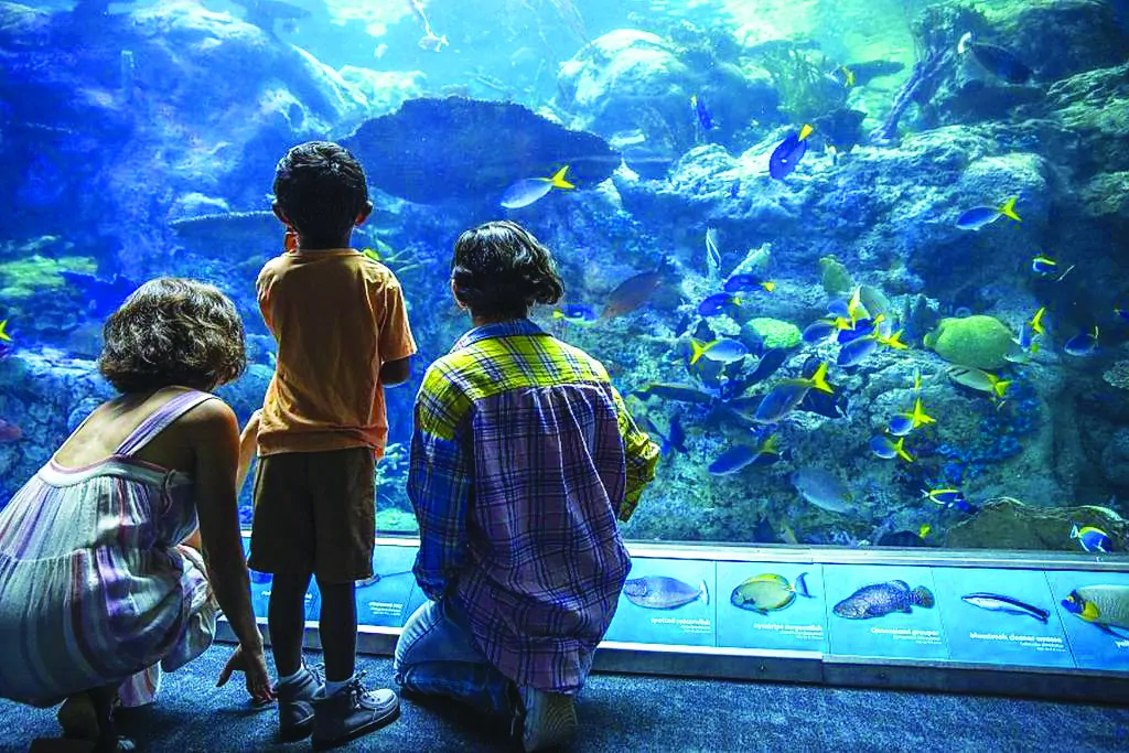 Aquarium-of-the-Pacific