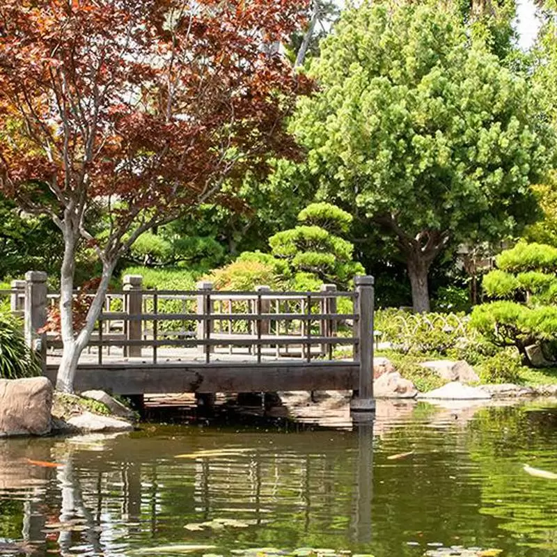 Earl-Burns-Miller-Japanese-Garden