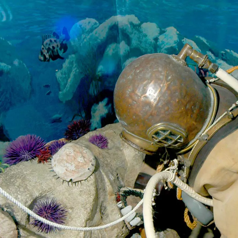 Buy Antique Scuba Diving Marine Divers